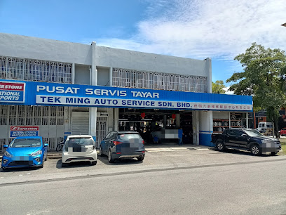 Tek Ming Auto Service Sdn Bhd Subang Jaya